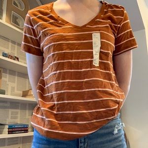 Brown Striped V-Neck T-Shirt
